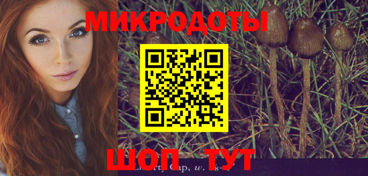 Красный Сулин  Псилоцибиновые грибы MAGIC MUSHROOMS  Вход с VPN 