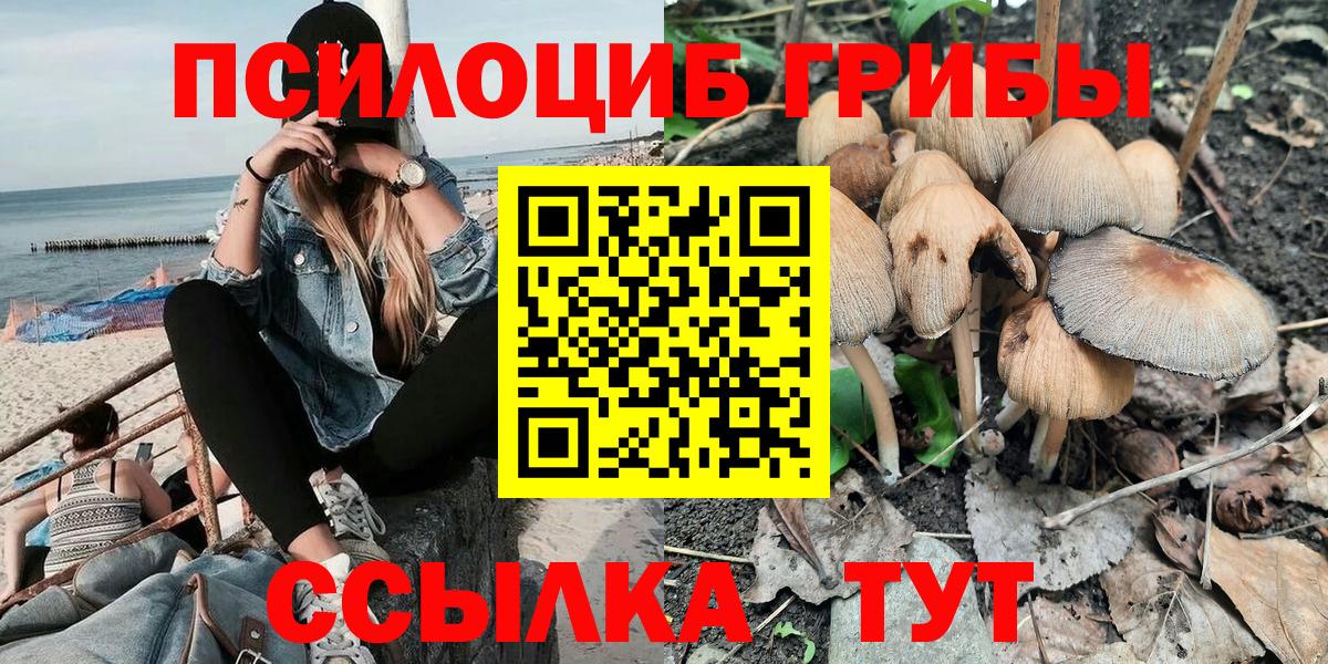 Псилоцибиновые грибы Magic Shrooms Красный Сулин